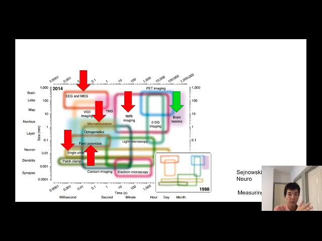 Week 3 the neural basis of consciousness: overview of important clinical cases