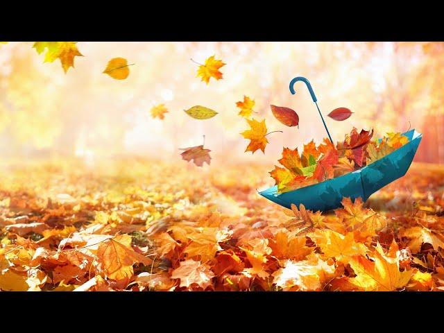 3 Hours Relaxing Morning Music in Autumn  Meditation Music, Yoga, Healing (Autumn Life) 