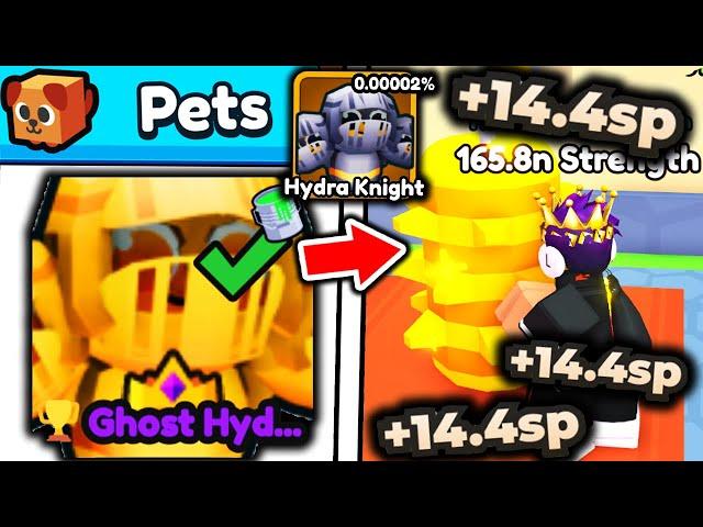 I SPEED RUN Arm Wrestle Simulator With RAREST MAXED OUT HYDRA KNIGHT PET..