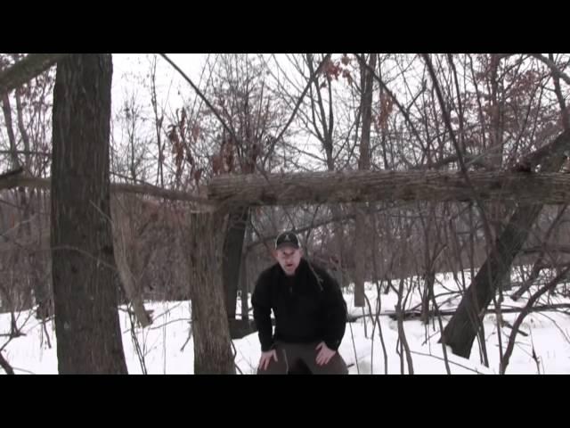 Deer Hinge Cuts & Bedding Whitetail Habitat Solutions