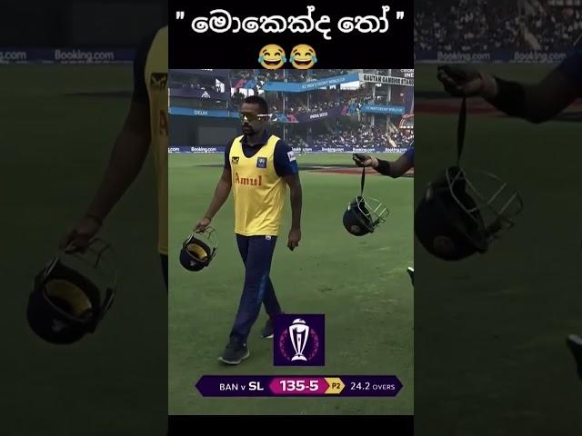 Angelo Mathews Comeback️#youtubeshorts #cricketlover #srilanka