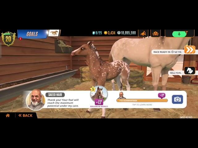 [The Correct Way To Breed Traits] Breeding 1600m Champions Rival Stars Horse Racing Mobile