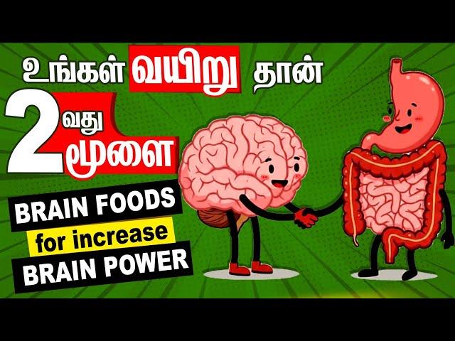 Rewire Your Brain | Secrets to Brain chemicals | Top Brain Foods