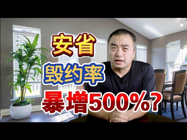 惊！安省购房毁约率竟然暴增500%？！#多伦多地产 #加拿大房地产 #多伦多买房