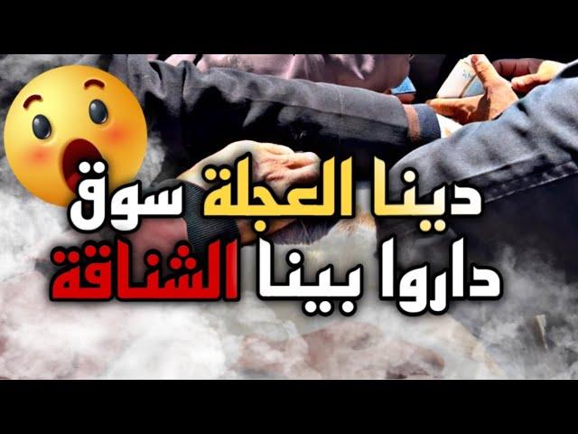 دينا العجلة مريبيحة لسوق داروا بينا الشناقة …