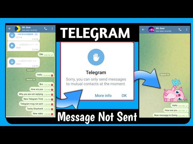 Telegram Bug Telegram Account limited Problem || Message Not Sent on Telegram | Techy Shashank