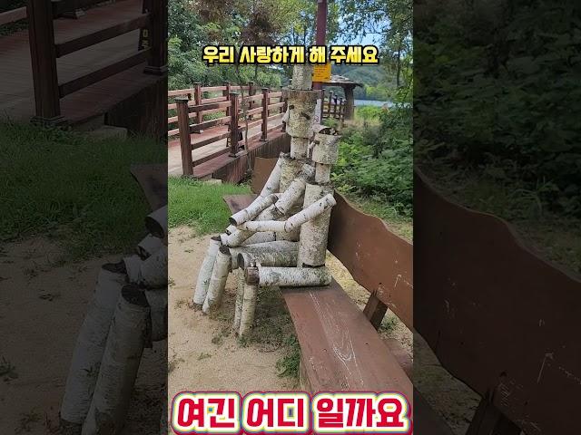 여긴 어디일까요 #여행 #여행브이로그 #여행유튜버 #여행명소