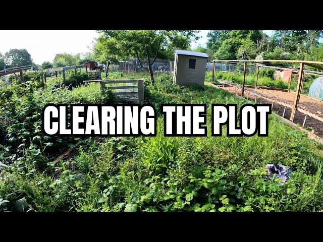 Day One On My First Allotment | Allotment For Beginners | Allotment Transformation