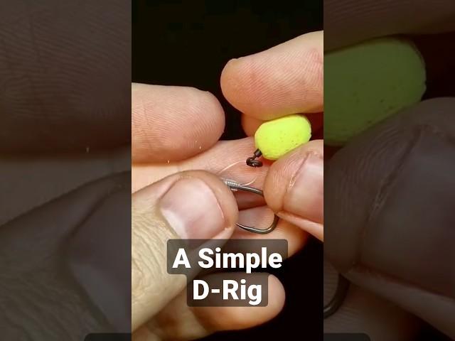 A Simple D-Rig for Catching More Carp