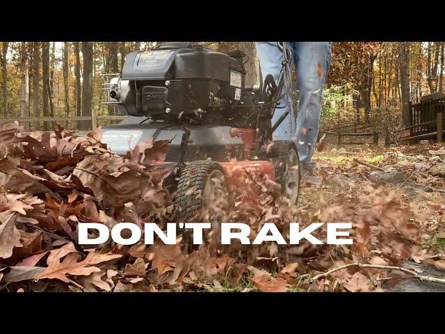 Fall Leaf Cleanup No Rake - Use These Two Things Instead.