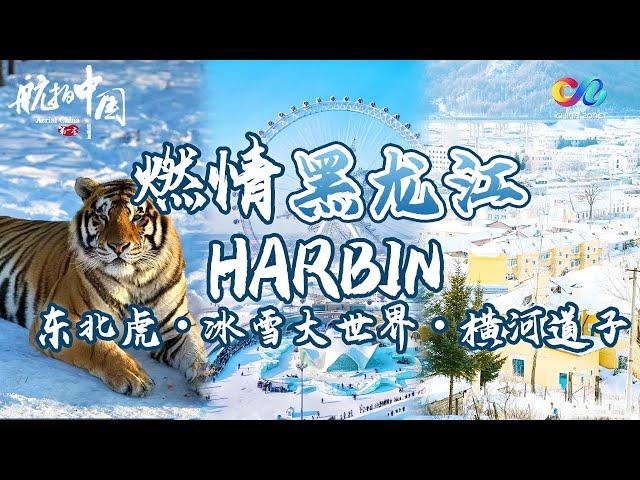 【ENG SUB】Aerial ChinaⅠ-Why You Must Visit Harbin, China in Winter