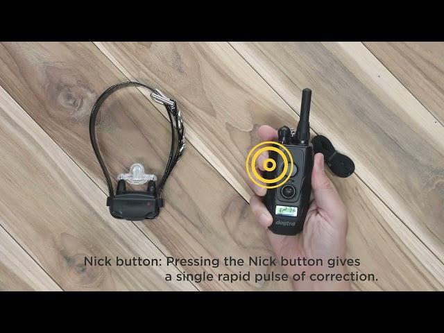 E-Collar How To | Dogtra 280C Button Functions