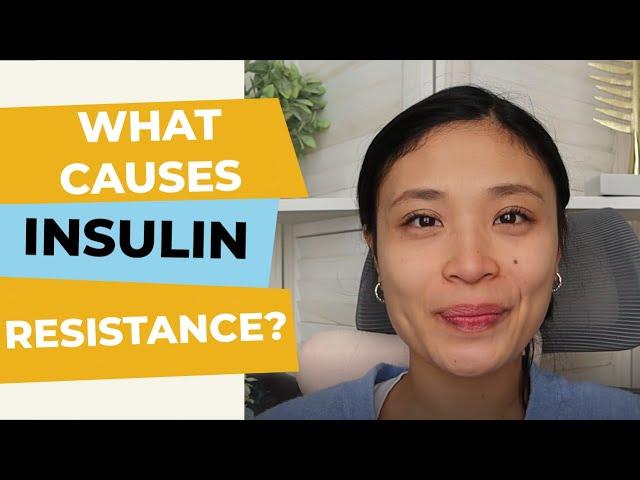 What is Insulin Resistance? And What Causes It!