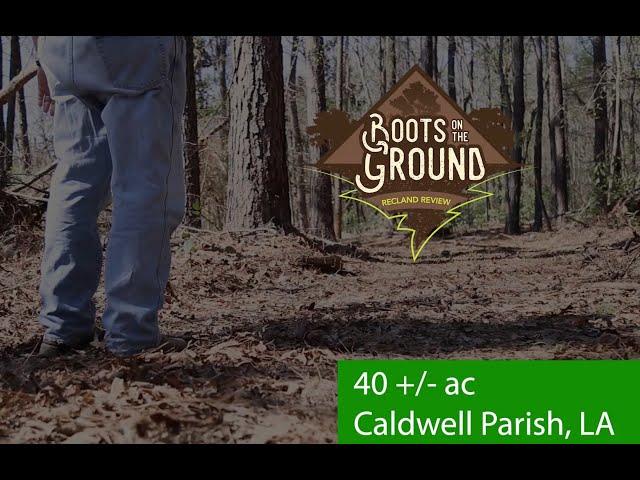 Land Review - 40 ac Timberland for Rural Home Site for Sale in Caldwell Parish LA