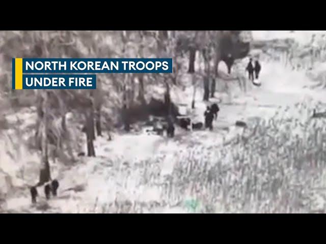 North Korean troops clash with Ukrainian forces in assaults on Kursk