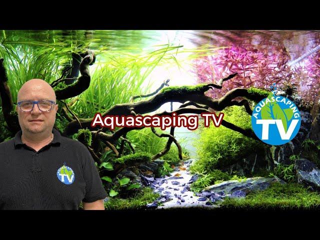 AQUASCAPING TV | Twoje Miejsce na Fascynującą Podróż po Świecie Akwarystyki!