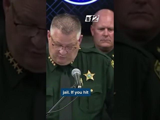 'WE'RE NOT GONNA PLAY' Florida sheriff's warning to ICE protestors about Los Angeles-style violence