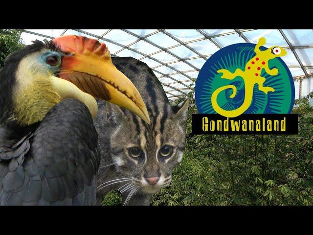 Tour of Gondwanaland at Zoo Leipzig