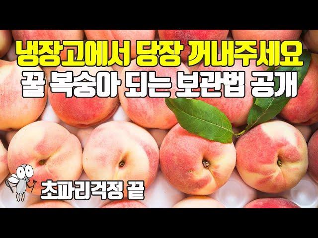 peach everything what you need to know (purchase tips, washing, effects, keep,eat)