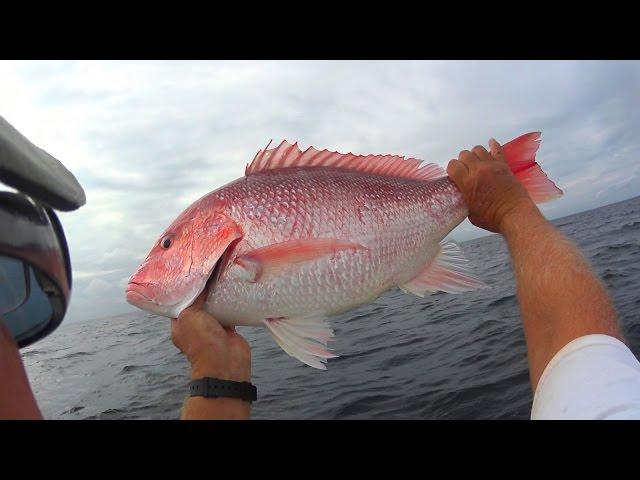 The Day John Outfishes SaltyKayak