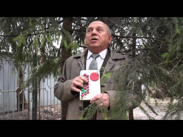 Владимир Бабаков играет на электробаяне