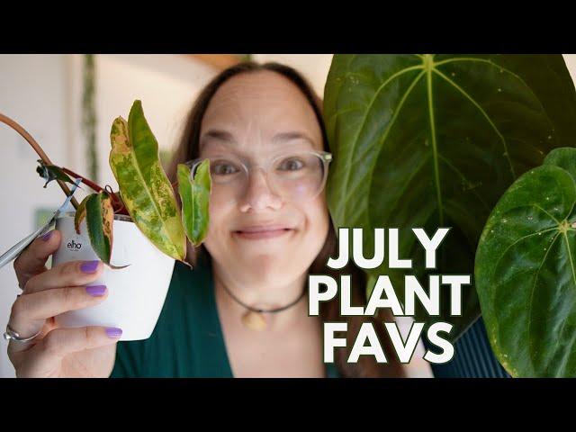 Fav plants of July with care tips | Plant with Roos