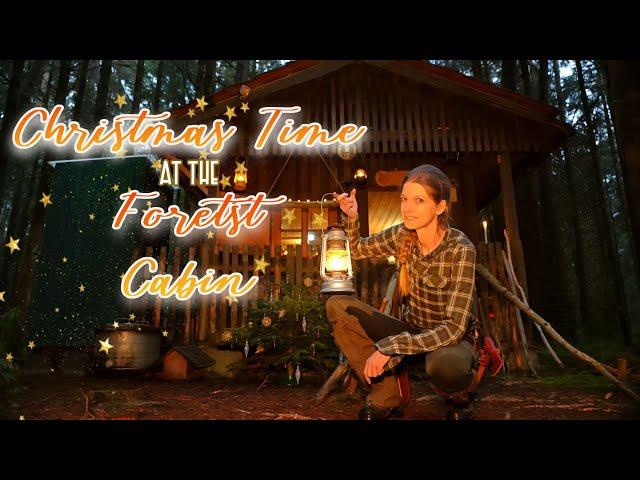 ️ Frosty overnight stay in a off grid hidden forest hut  felling tree  botany  cooking