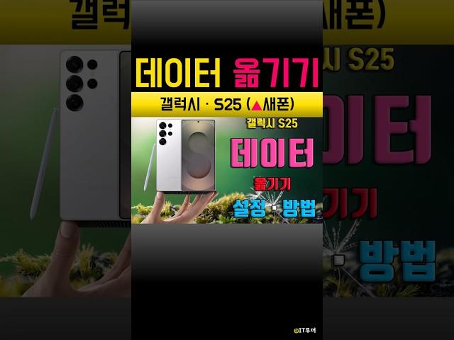 갤럭시 S25 울트라 데이터 옮기기 스마트 스위치 이동