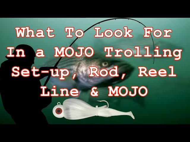 Choosing The Right MOJO Trolling Rod & Reel For Striped Bass & Other Game Fish