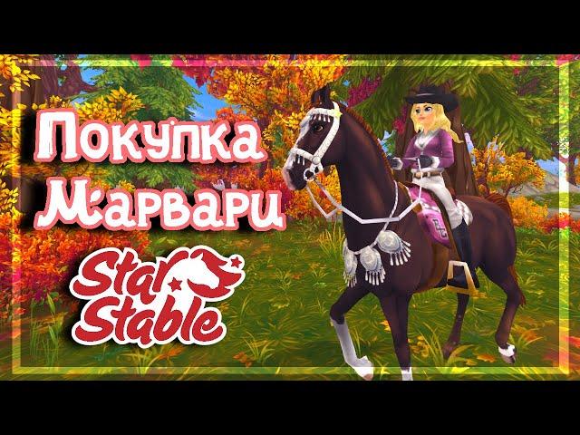 ПОКУПКА МАРВАРИ В SSO | Star Stable Online