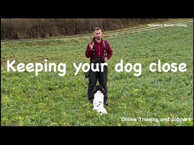 Teaching your dog to hunt close "Gundog basics series"