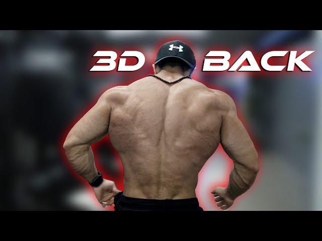 6 Effective Exercises To Build A 3D Back - Yasin Pehlivan Fitness