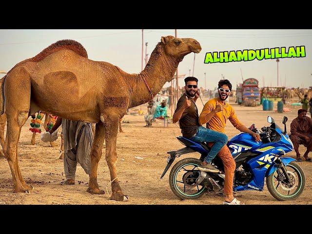 ALHAMDULILLAH APNA QURBANI KA CAMEL KHAREED LIA | MISHKAT KHAN MANDI VLOG
