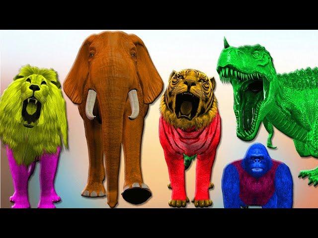 Finger Family Collection! Animals Finger Family Songs with Lion, Tiger, Gorilla, Elephant, Dinosaurs