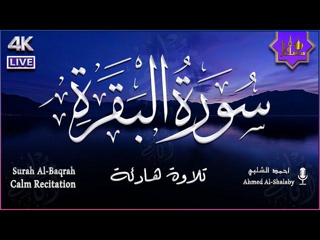 سورة البقرة | قرآن كريم للراحة النفسية والاسترخاء وللمساعدة على النوم | راحة نفسية لا توصف