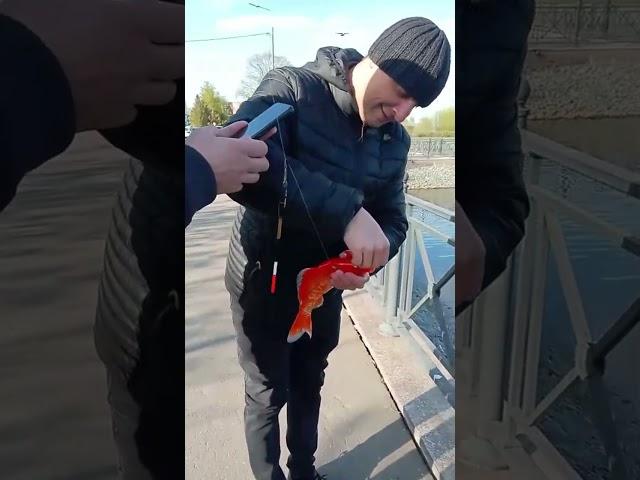 Золотая рыбка
