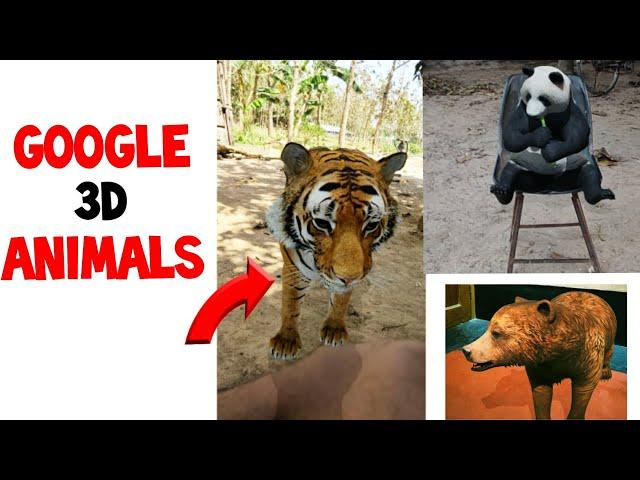 How To Use Google 3D Animals | Google 3D Animals