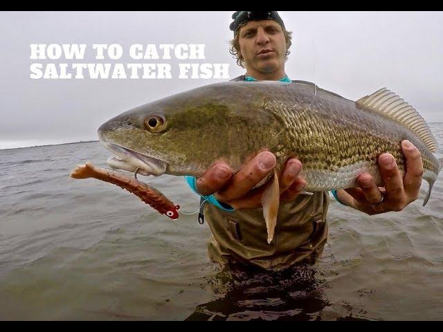 SALTWATER Lure Fishing 101 | Beginners Guide MADE EASY to Catch SALTWATER FISH with lures