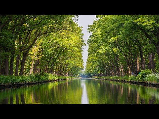 Beautiful Relaxing Music - Stop Overthinking, Stress Relief Music, Sleep Music, Calming, Meditation