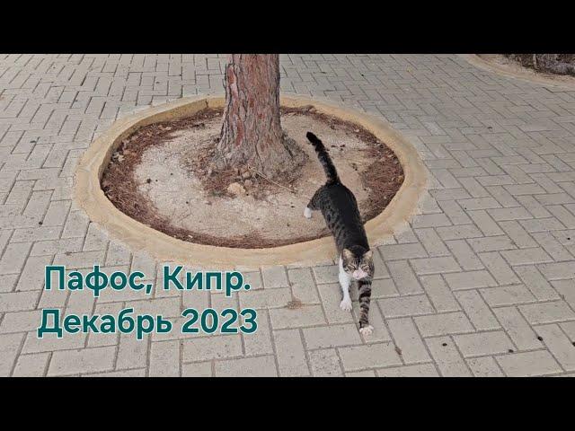 Кипр, Пафос. Декабрь 2023