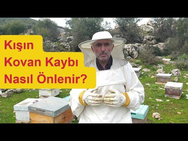 Arılarımız Neden Ölüyor?#arıcılık #beekeeping #arı #beekeeper #bal