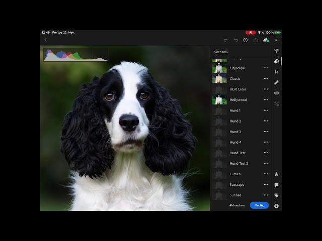 Lightroom Mobile am iPad - Presets erstellen