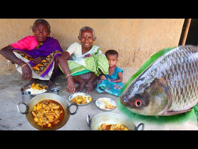 ROHU fish curry | Santali tribe grandmothers cooking tribal village style Ruhi fish curry