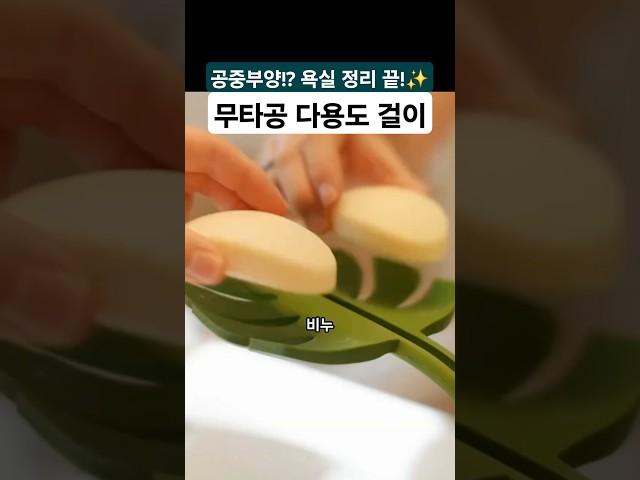 나뭇잎 디자인 공중부양템무타공 접착식 다용도 칫솔걸이