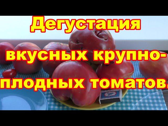 Сравнительная дегустация очень вкусных крупноплодных томатов