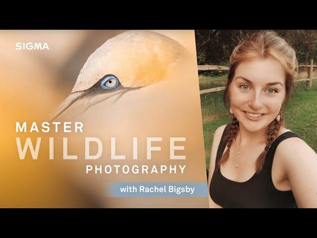 Top tips for beginner wildlife photographers