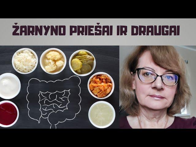 Žarnyno priešai ir draugai