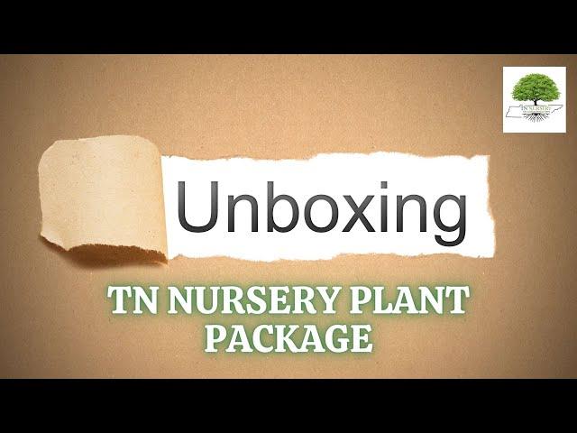 UNBOXING A TN Nursery Plant Package