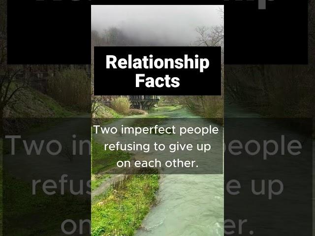 A 'perfect' Relationship