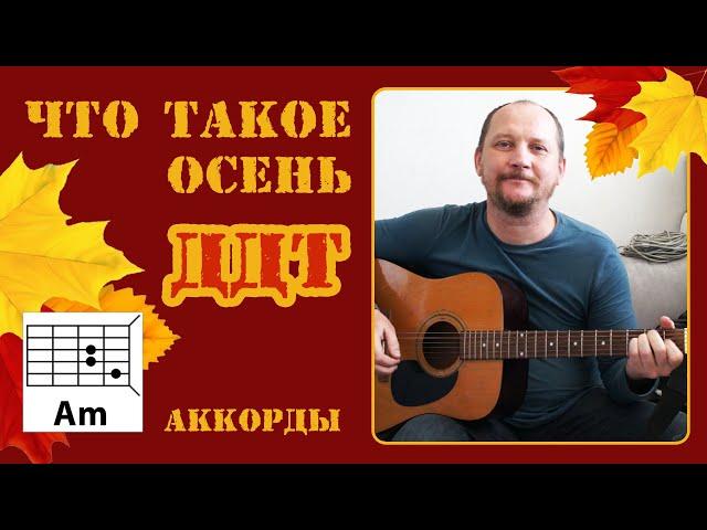 ЧТО ТАКОЕ ОСЕНЬ - ДДТ (АККОРДЫ И ТЕКСТ В ОПИСАНИИ) ПРОСТАЯ ПЕСНЯ НА ГИТАРЕ (КАК ИГРАТЬ) COVER